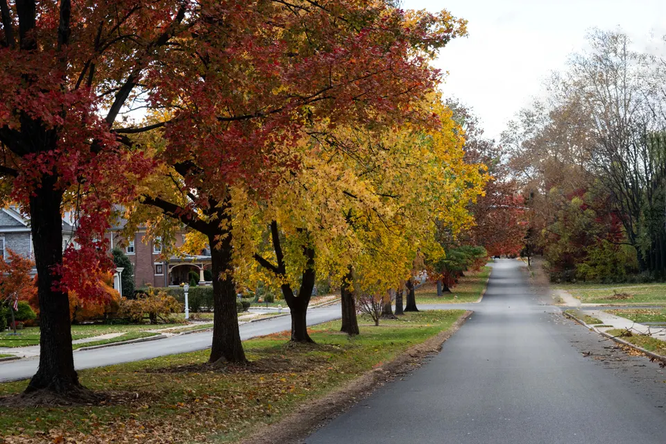 towing service East Lake-Orient Park